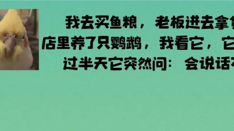 糖果代理加盟条件及流程揭秘：如何开启你的甜蜜事业